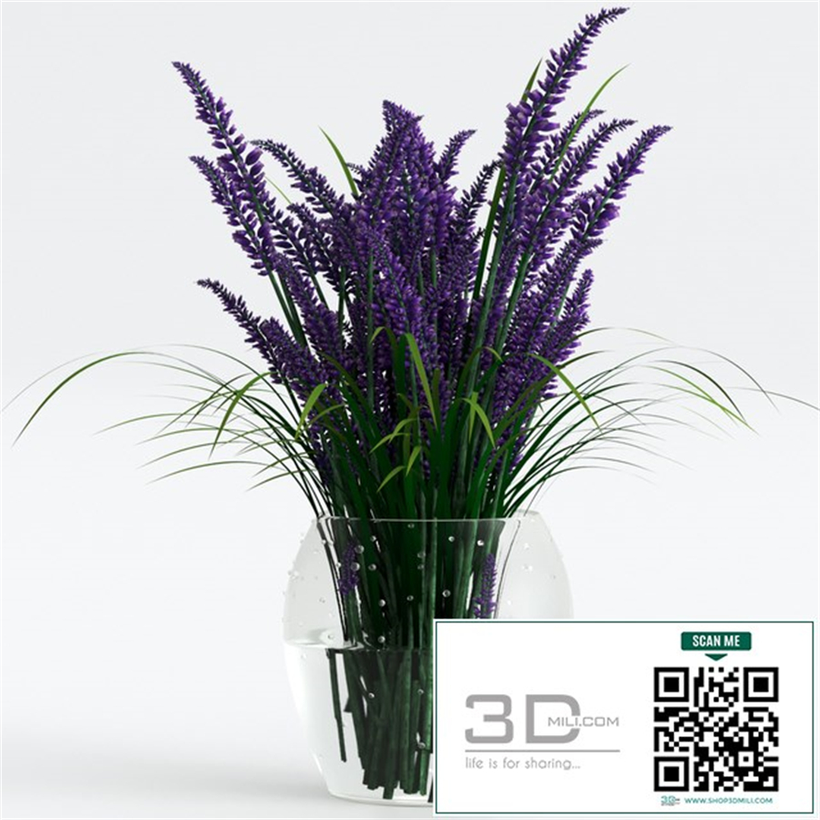 Bouquet of lavender.