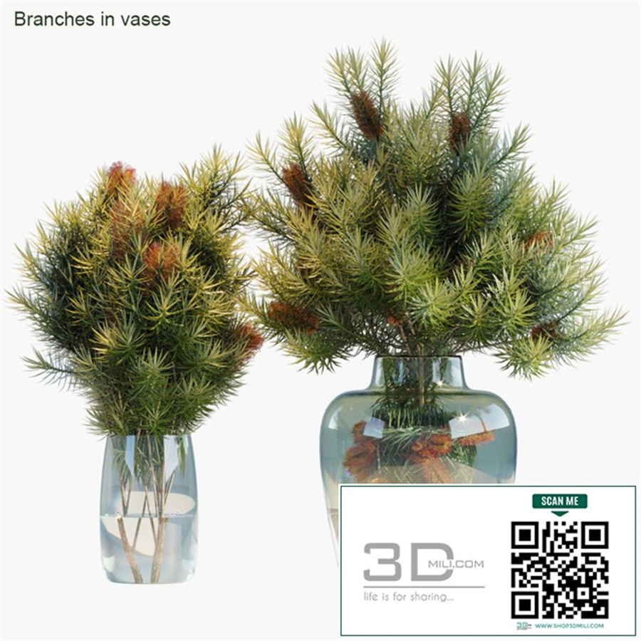 Branches in vases 30: Red Candle