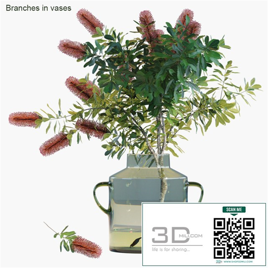 Branches in vases 31