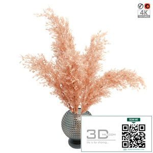 Pampas grass bouquet