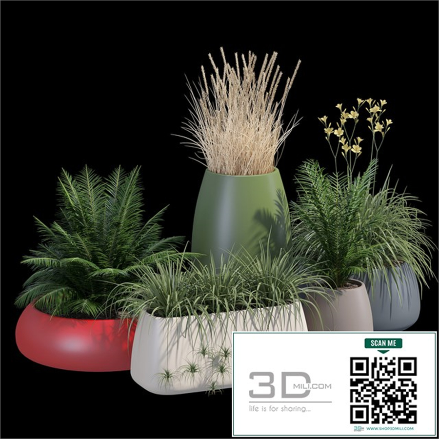 Gobi planter