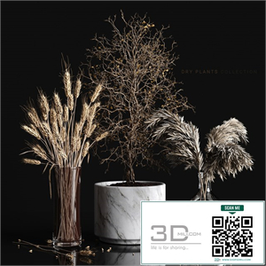 Dry plants collection