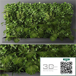 Vertical garden 011