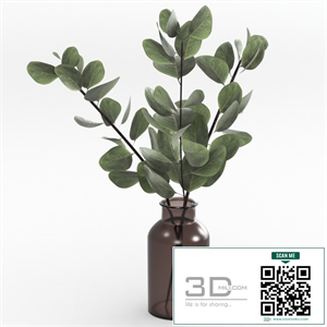 Bouquet of eucalyptus twigs.