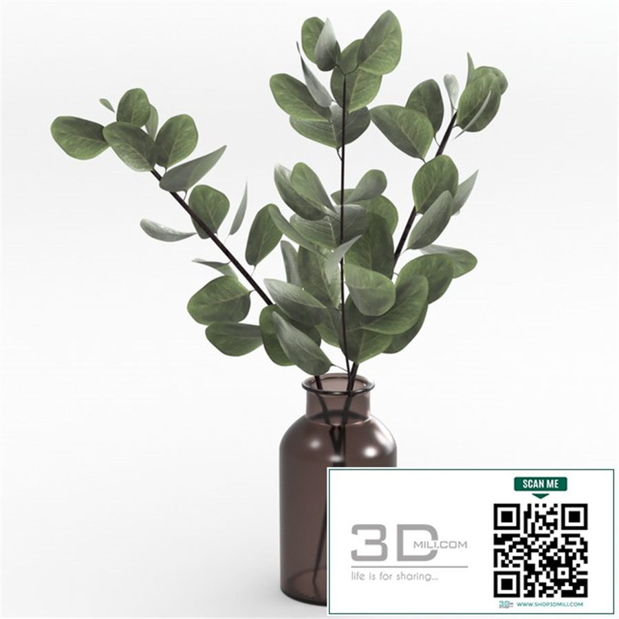 Bouquet of eucalyptus twigs.