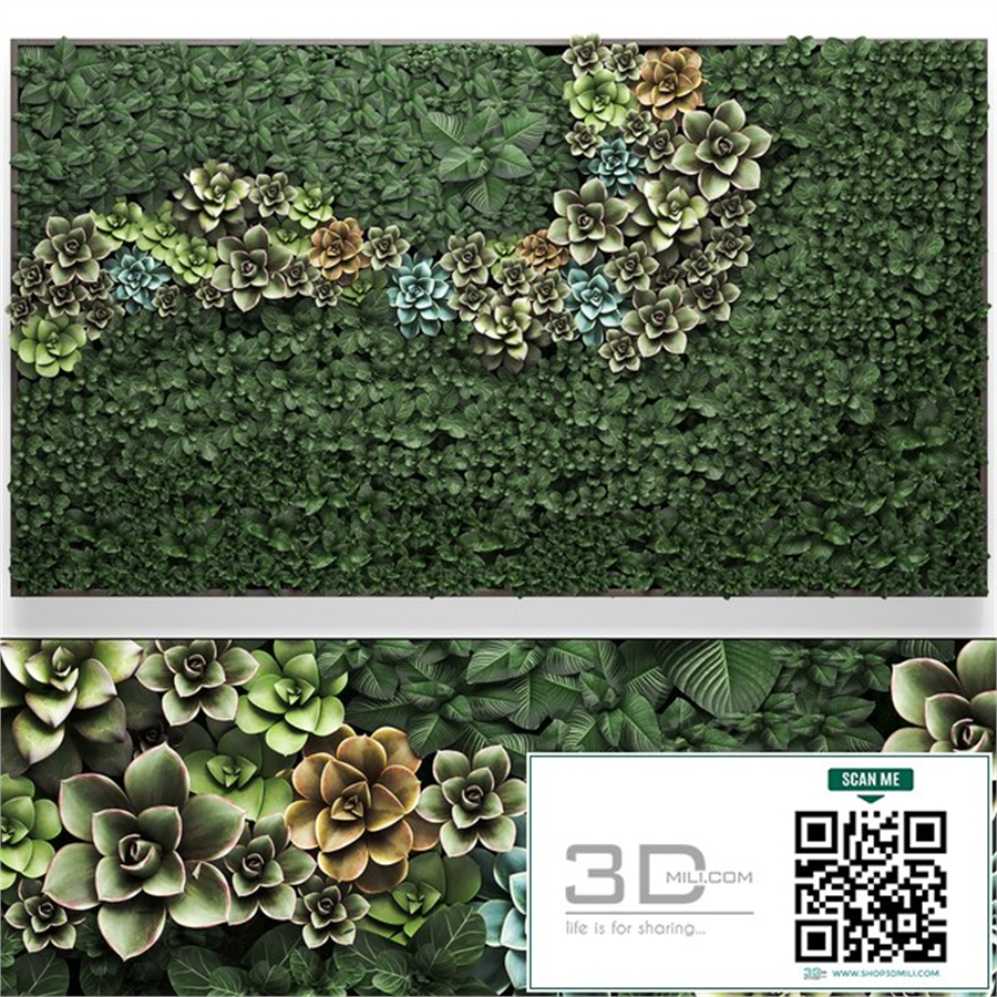 Vertical gardening a garden of plants in a composition of succulents, Echeveria, phytosten, phytomodule, painting. Set 52.