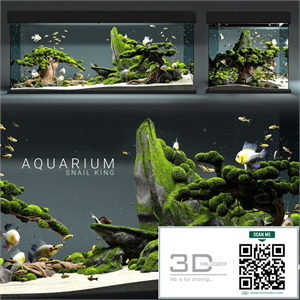 Aquarium snail king