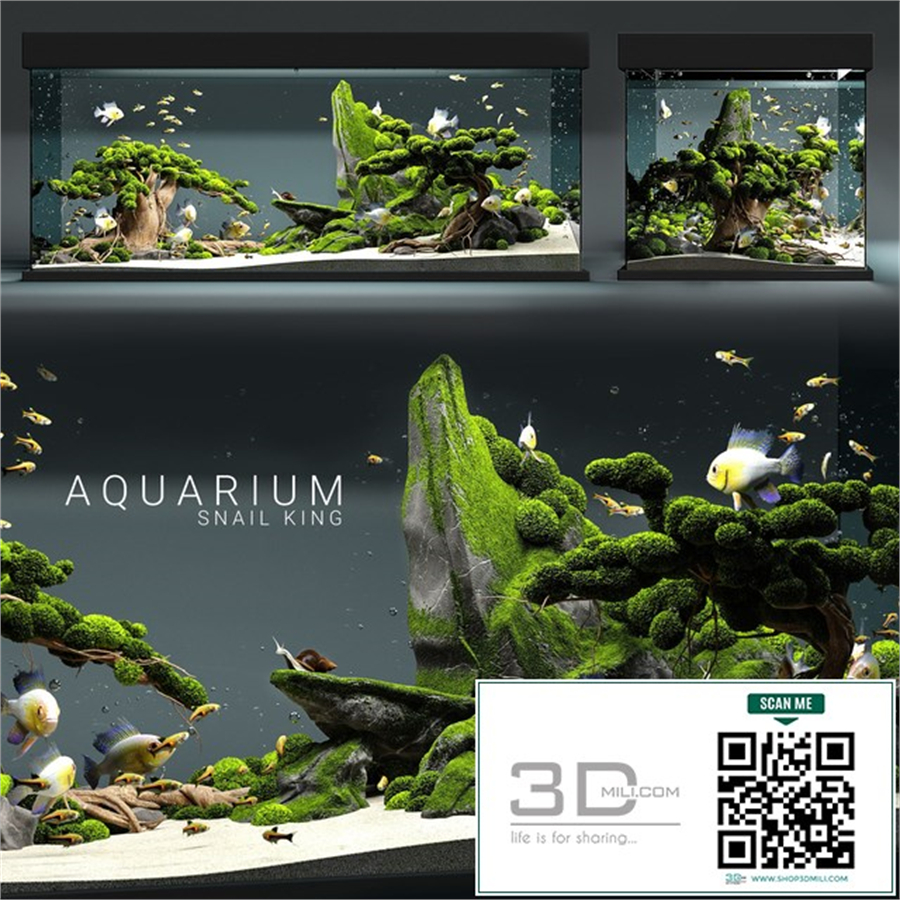 Aquarium snail king