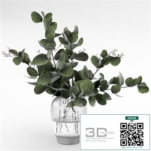 Bouquet of eucalyptus