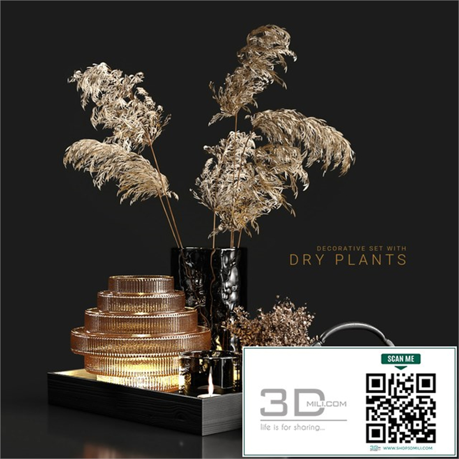 Decorative set with dry plants 3