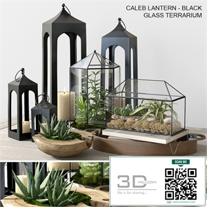 Pottery barn GLASS TERRARIUM