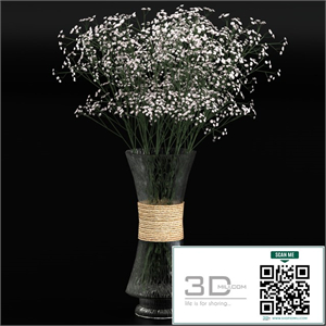 Bouquet of gypsophila