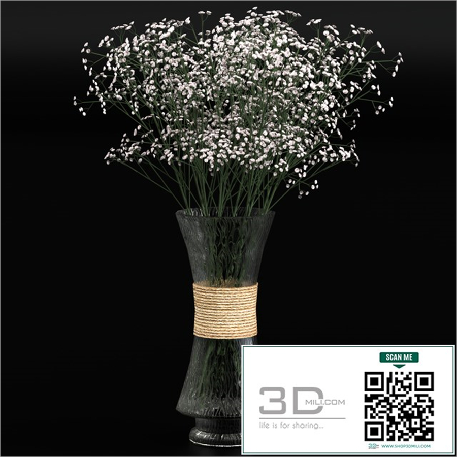 Bouquet of gypsophila
