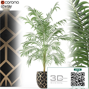 Plants collection 216