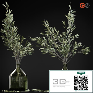 Olive stems in a glass vase with water