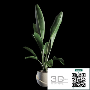 Indoor Plants Set 02