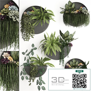 Vertical landscaping for the wall with a black metal shelf with Garden, Succulents, hanging plants, Ferns. Set 56