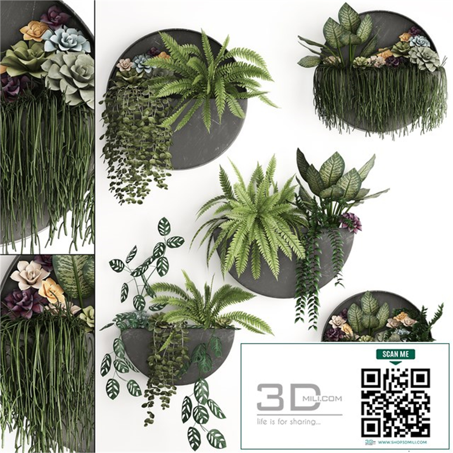 Vertical landscaping for the wall with a black metal shelf with Garden, Succulents, hanging plants, Ferns. Set 56