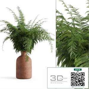 Fern in a clay vase