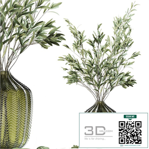 Olive stems in green glass vase