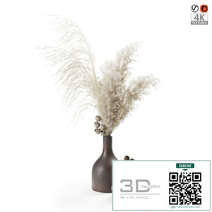 Bouquet of pampas grass