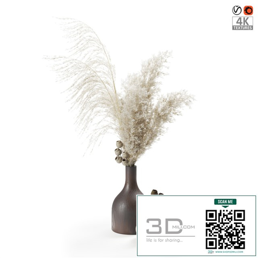 Bouquet of pampas grass