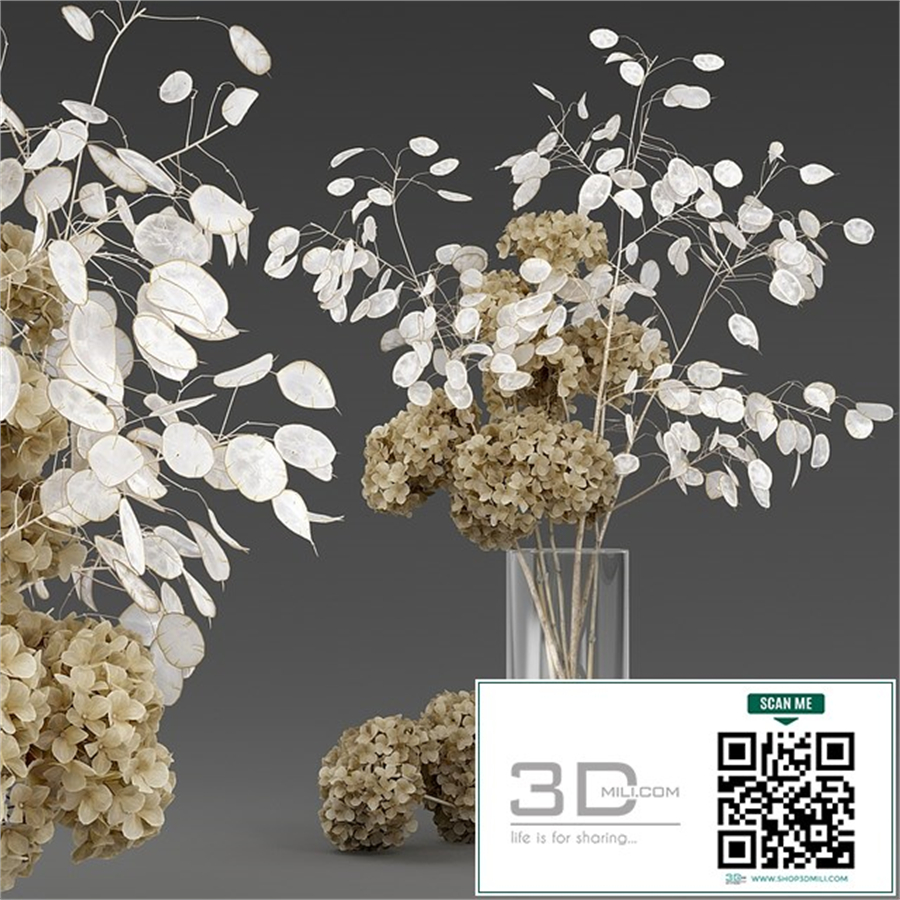 Dried flowers