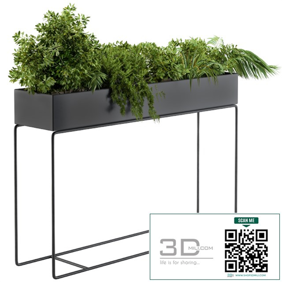 Black Box Plants on stand02