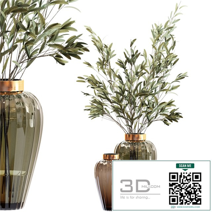 Olive stems in zara glass vase with water