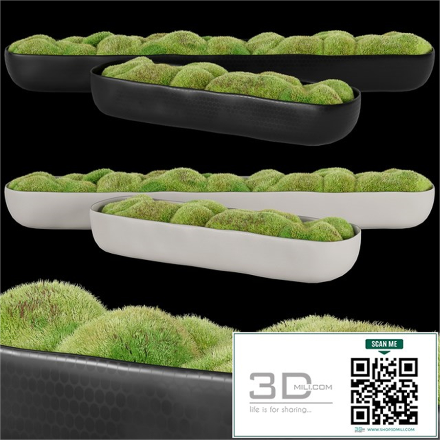 Rh_organic_sculpted_trough