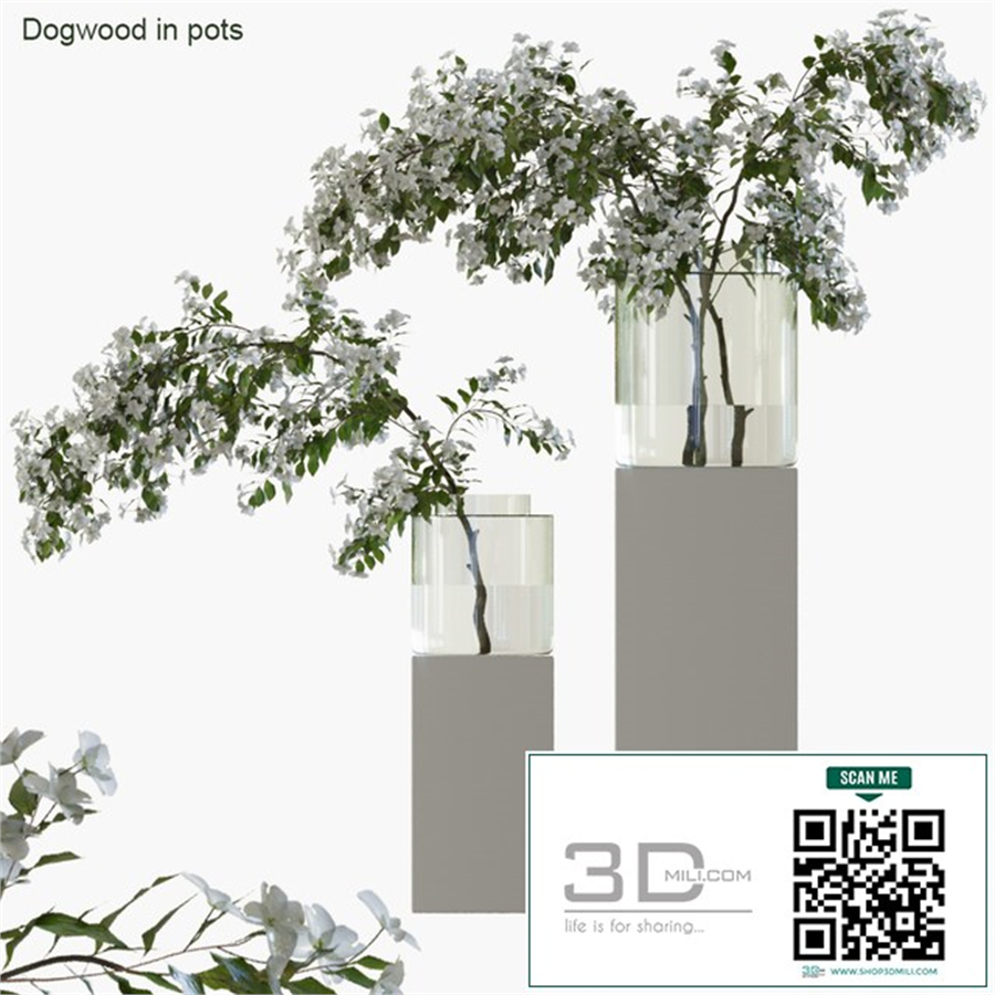 Branches in vases 35