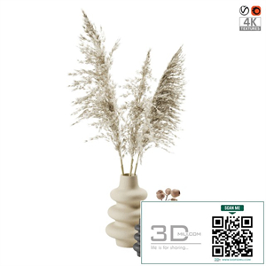 Vases with dried plants