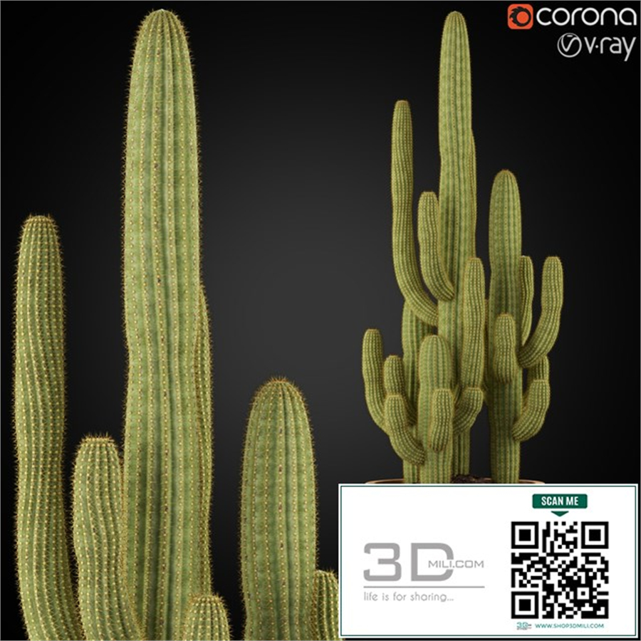 Plants collection 254