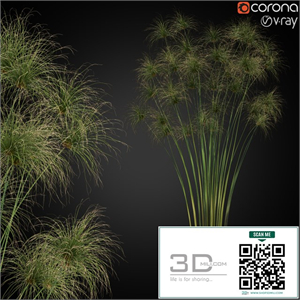 Plants collection 257