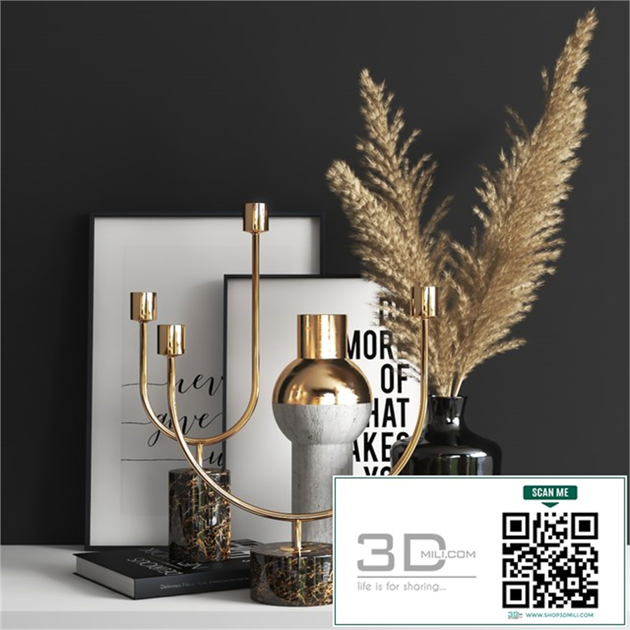 set1112 -dryed plant