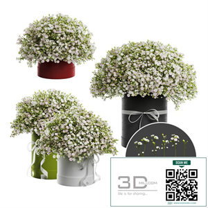 Gypsophila bouquet in a hat box