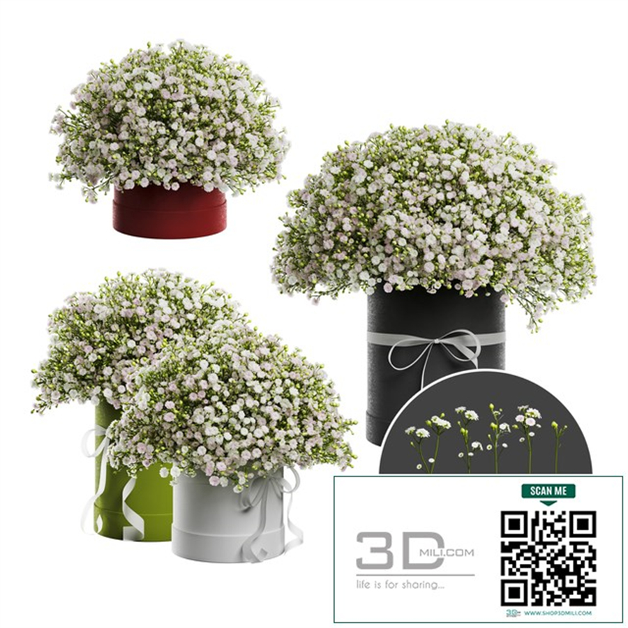 Gypsophila bouquet in a hat box