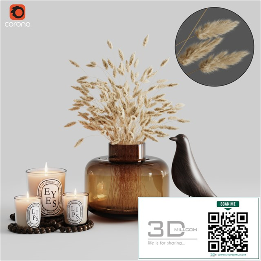 Decorative set with pampas 01