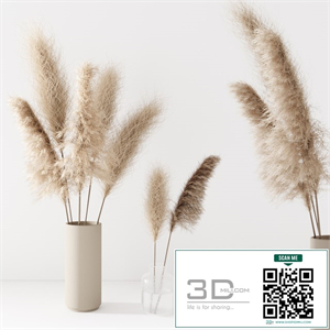 Set of pampas in vase