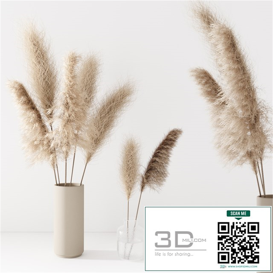 Set of pampas in vase