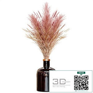 Pampas bouquet flower_02