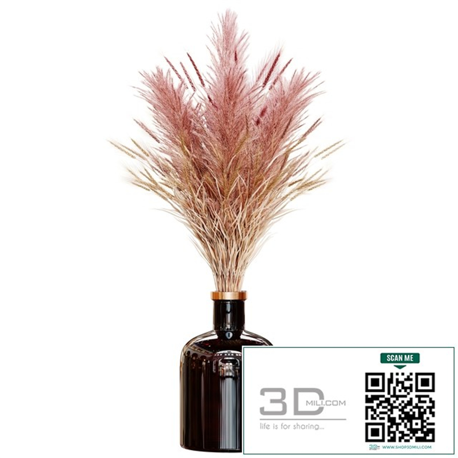 Pampas bouquet flower_02
