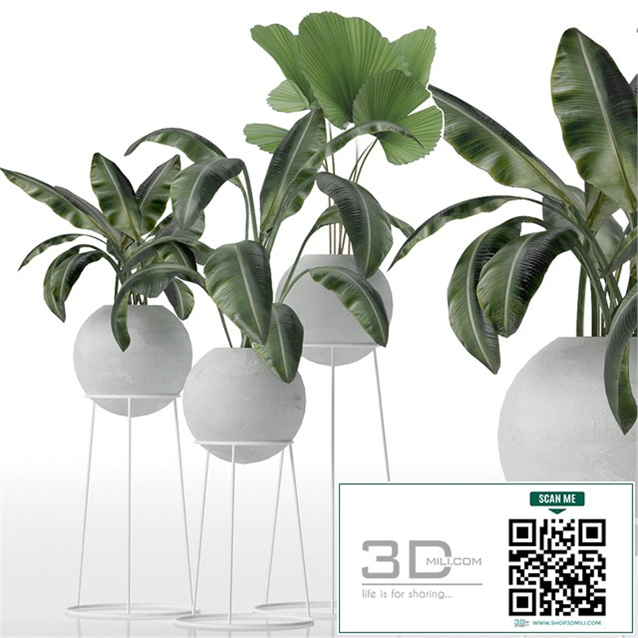 Decorative set of plants