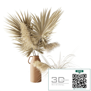 Dry palms and pampas