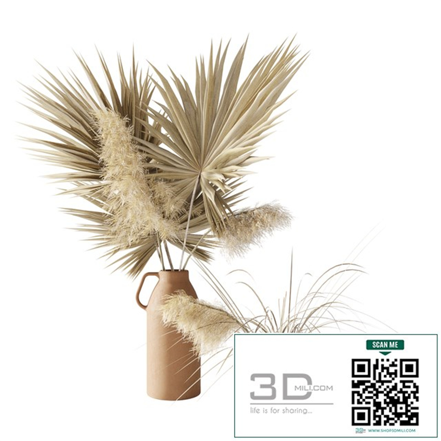 Dry palms and pampas