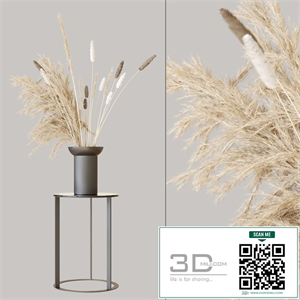 Pampas set 1