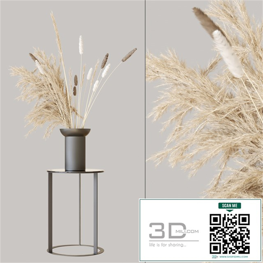 Pampas set 1