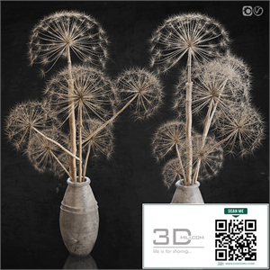 Decor set 11 Heracleum plant