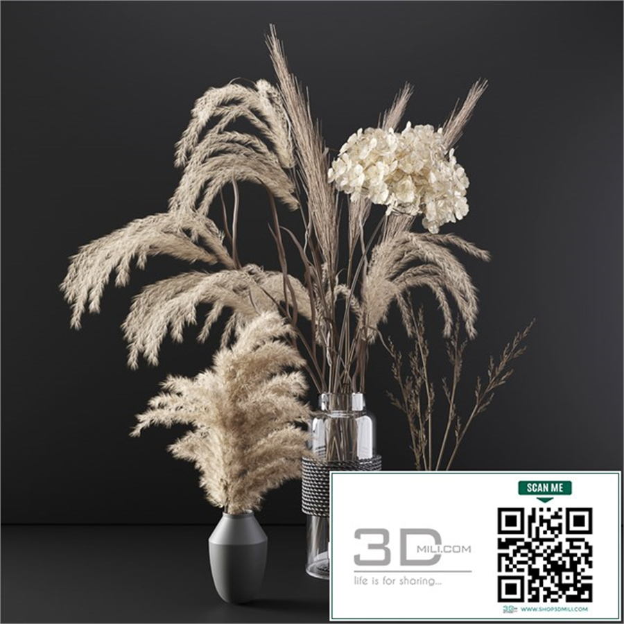 Set with dry plants