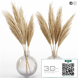 Big dried flower pampas grass in glass vase 6